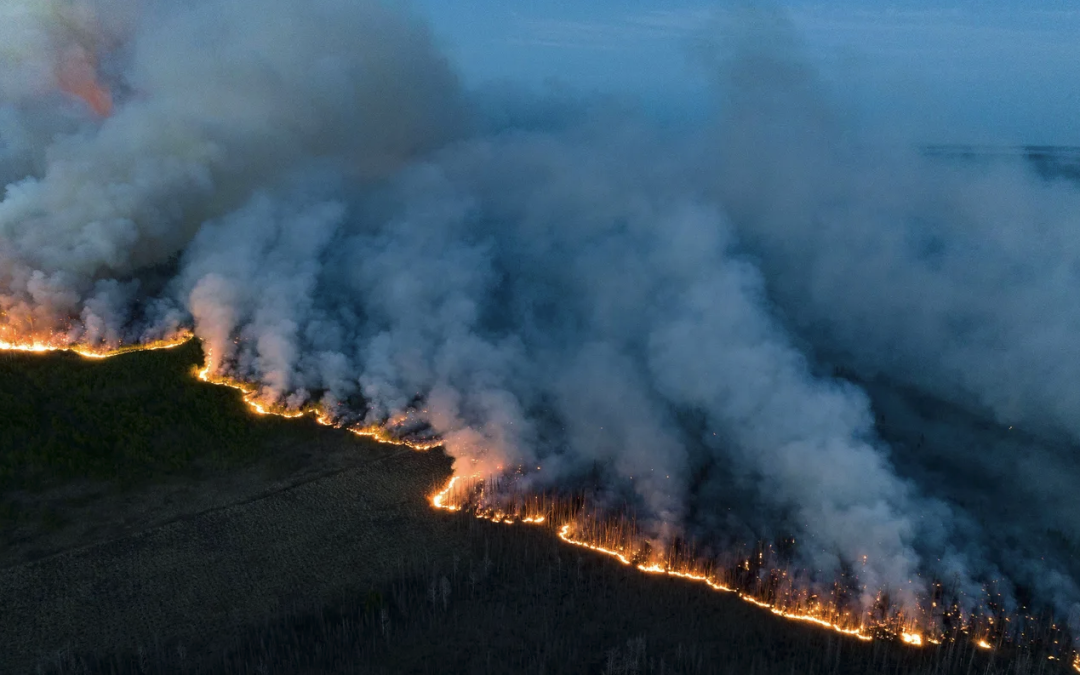 The Role Of Technology In Wildfire Prevention And Response