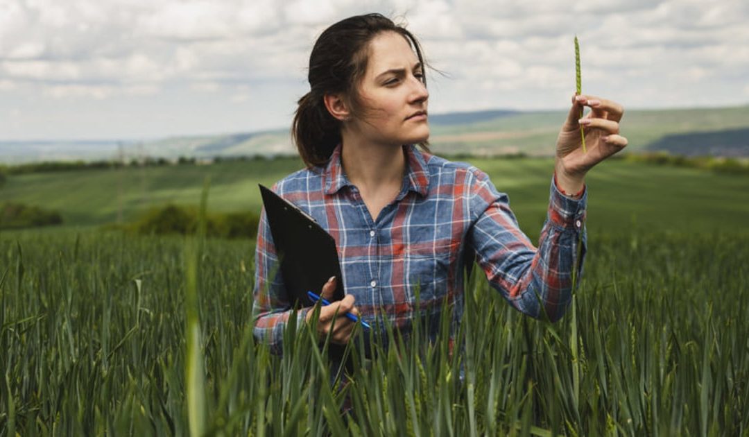 7 Ways to Safeguard Lone Workers and High-Risk Employees in the Field